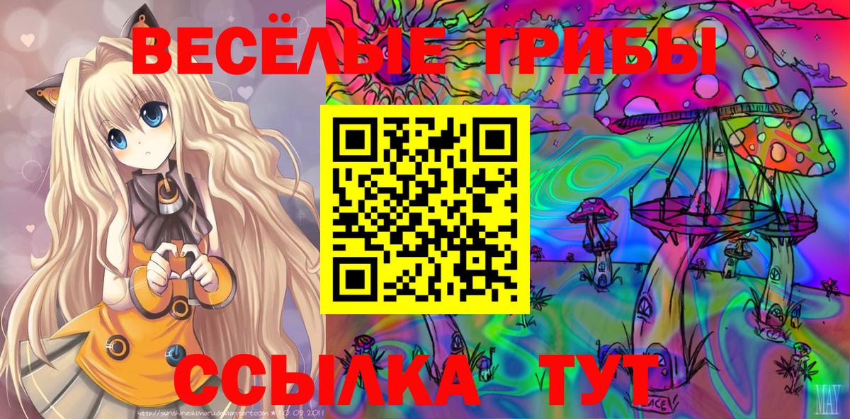 Касимов  Псилоцибиновые грибы мухоморы  Вход с VPN 